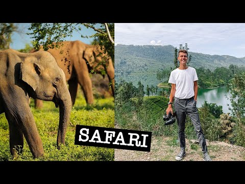 EPIC SAFARI in NORTHERN SRI LANKA | Wilpattu National Park