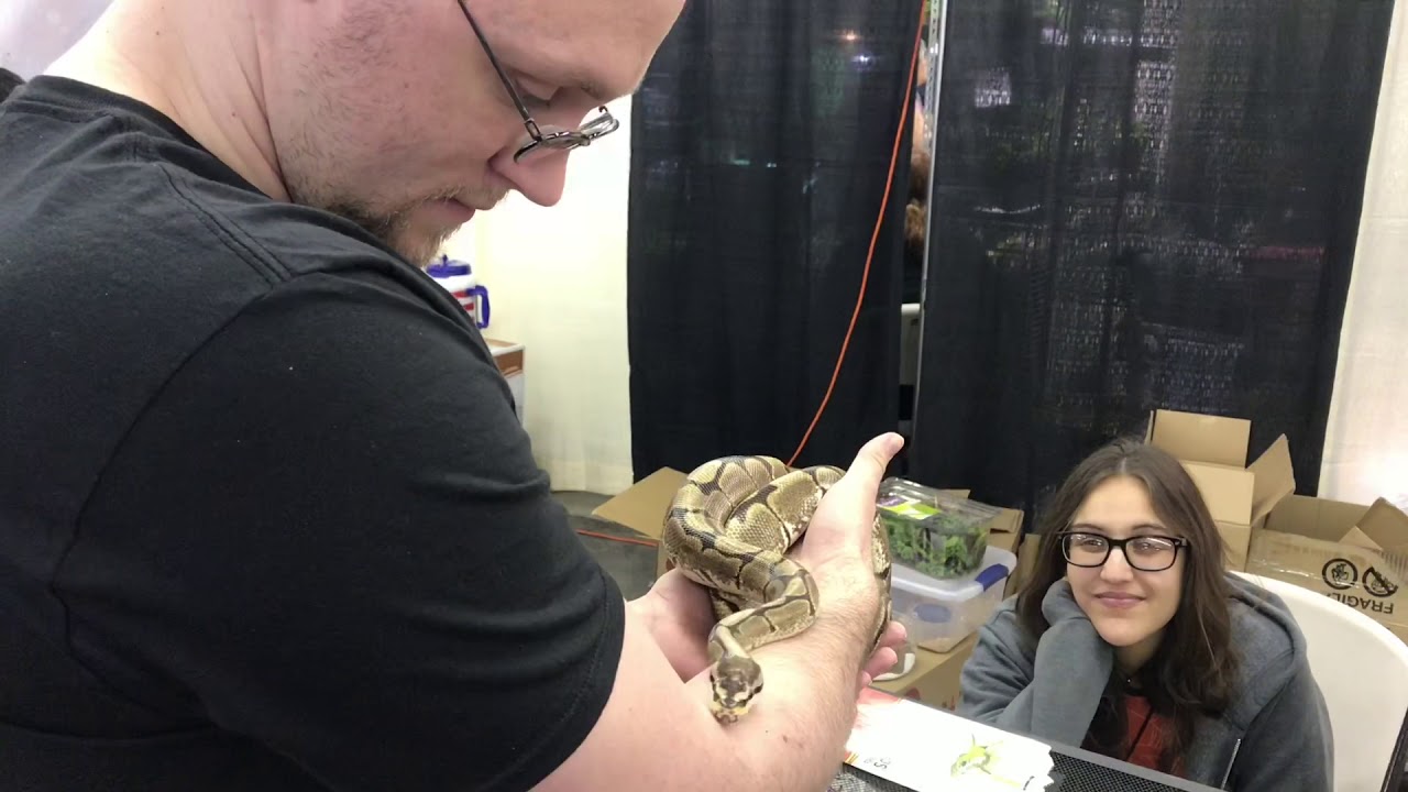 Tucson reptile show 2018 - 96 Studios Nerd Art - YouTube