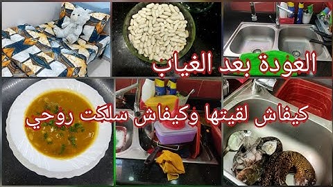 العودة بعد الغياب روتين النشاط والتحفيز كيفاش لقيت داري كي غبت عليها لوبيا بيضا طايبة زبدة
