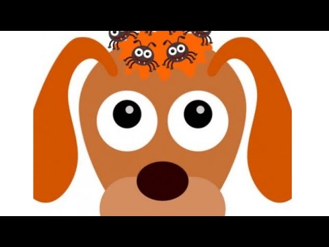 فيديو: العدوى الطفيلية (Microsporidiosis Encephalitozoonosis) في الكلاب