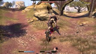 ESO Shadow Cloak mechanics 1.6.4 PTS