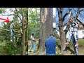 Funniest Tree Cutting Fails 14