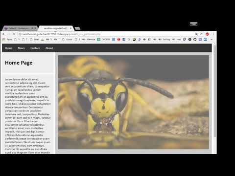 12 Codeanywhere Tutorial :: Clone Pages