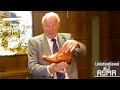 Unintentional ASMR 👞 Traditional Leather Shoe Salesman in London