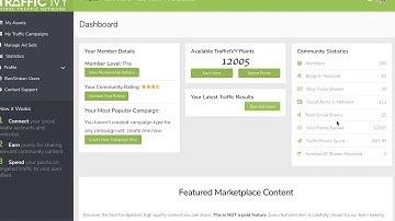 Traffic Ivy Dashboard Overview