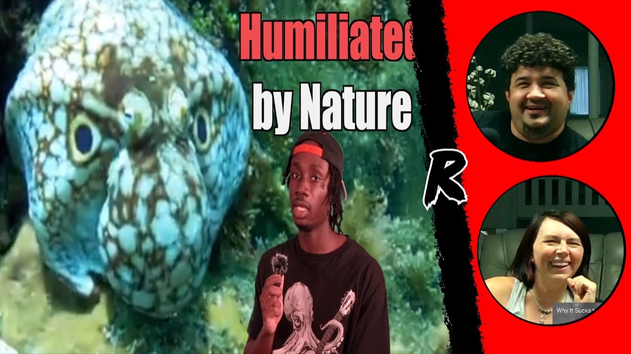 Why It Sucks to be Earth's Oldest Genius - @Casual Geographic | RENEGADES REACT