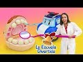 Jugamos a ser dentista. Vídeos para niños pequeños. La Escuela Divertida