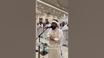 القارئ عمر عبدالعزيز يحاكي الشيخ د. أنس العمادي - سورة الأعلى - جامع محمد بن عبدالله الزامل - 1446هـ