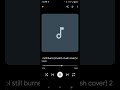 the sol still burns (muskin-mush cover)