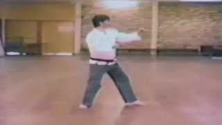 South East Australian Taekwondo