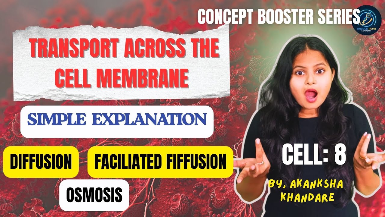 Transport Across Plasma Membrane Explained | Diffusion, Osmosis ...