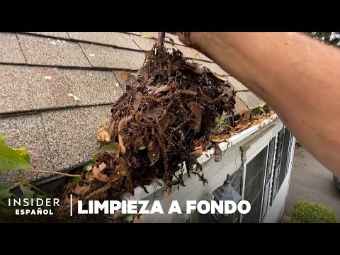 Video: ¿Los canalones están cubiertos por el seguro de la casa?