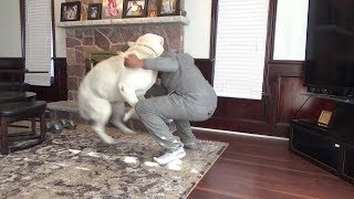Hugging our Dog for too long!!!