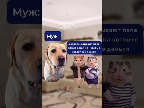 «кися» #футажи #fypシ゚viral #catmemes #cat #котики #мемыскотами #мемы #рекомендации #юмор
