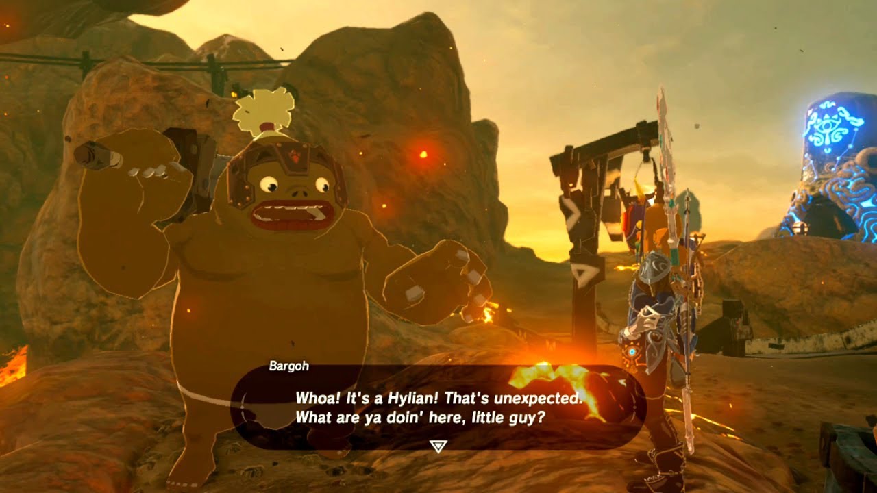 The Legend of Zelda Breath of the Wild [Part 84] A Rube Goldberg