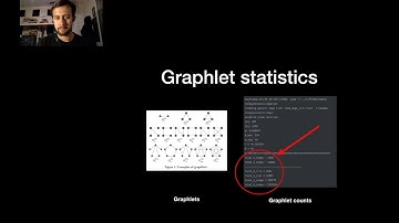 Estimating Graphlet Statistics via Lifting