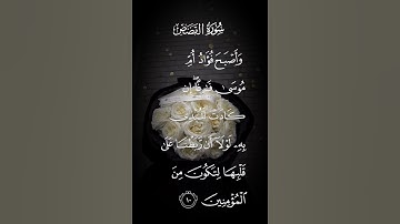 سورة القصص وأصبح فؤاد أم موسى فارغا إن كانت لتبدي به لولا أن ربطنا على قلبها لتكون من  الاية١٠