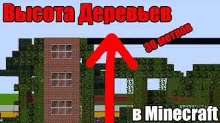 Максимальная Высота Деревьев в Minecraft!