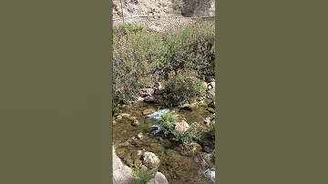 Fishing الجيلي Karate العريفي Martialarts القرميد رجعوني Sports المراره Sword 