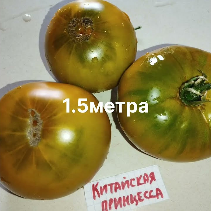 Томаты : Штамбовый король и Штамбовая королева , Китайская принцесса и ...