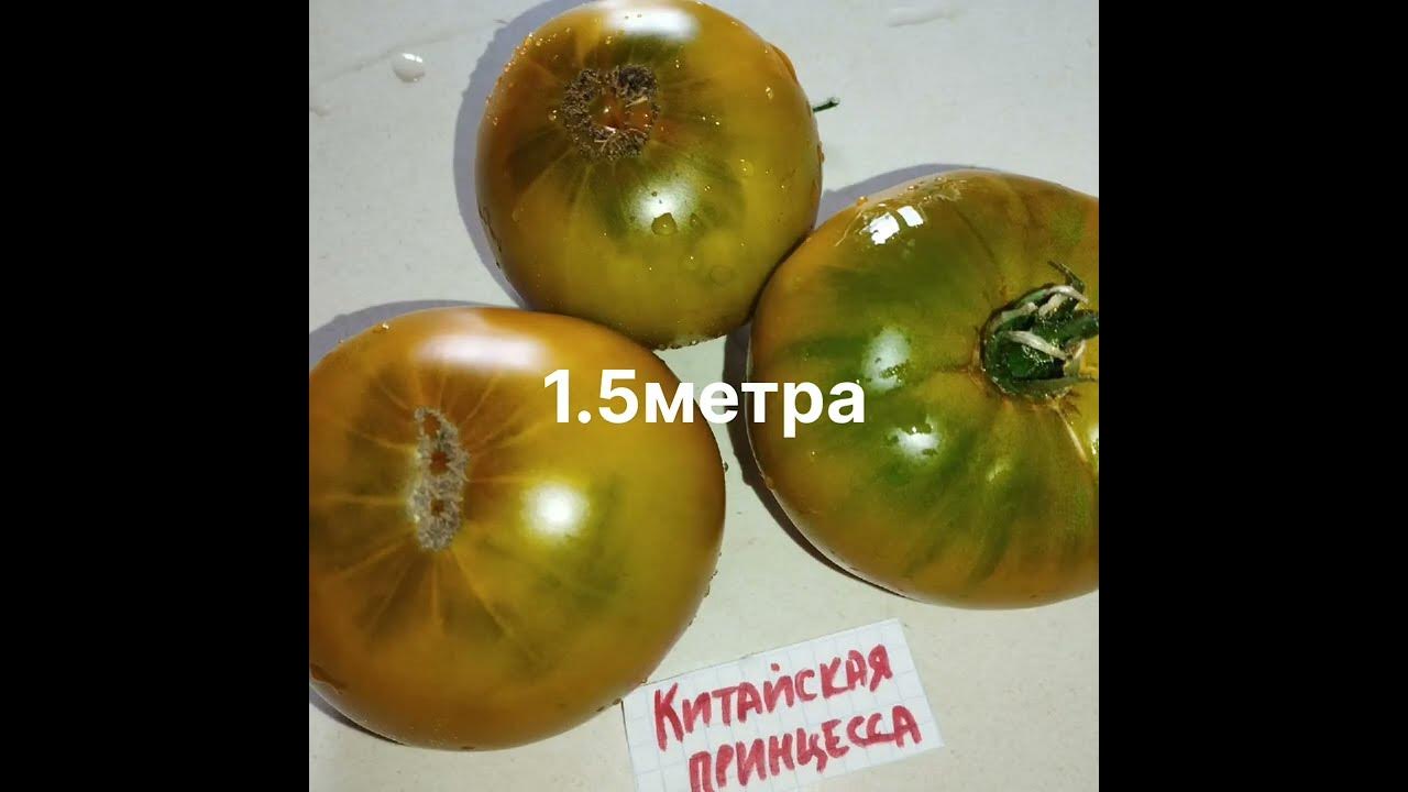 Томаты : Штамбовый король и Штамбовая королева , Китайская принцесса и ...