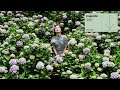 Foxen x Bohkeh - Work | majestic color