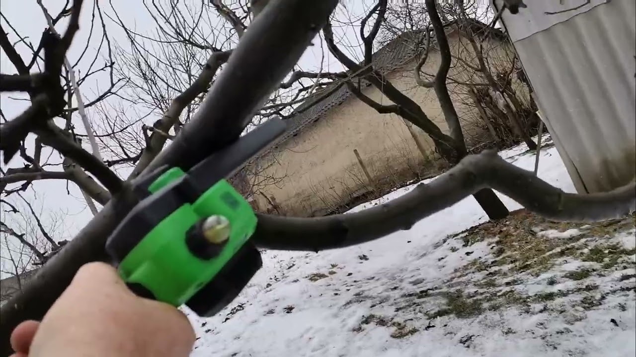 Sa terminat revizia la stupi și sa început tăierea la pomi!