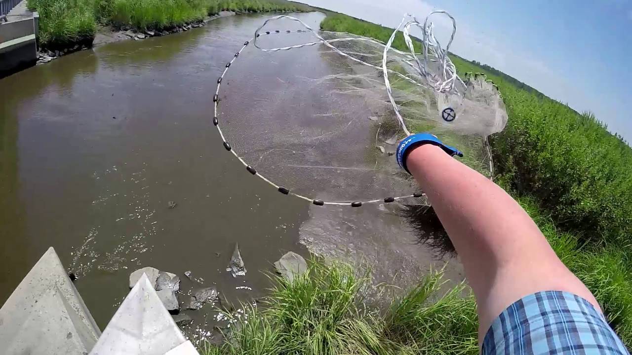 動画 魚を獲る 投網 は水中でどんな風に広がっているのか ひろぶろ
