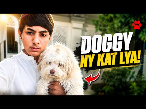 Cute Doggy… But Dangerous! 🐕🔥
