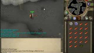 Green Dragon Guide with voice