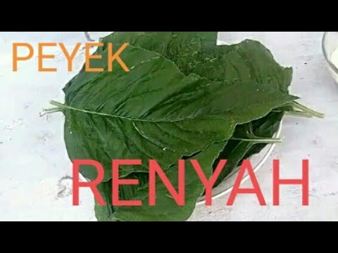 buat-peyek-dari-daun-bayam-renyah