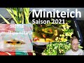 MINITEICH SAISONERÖFFNUNG 2021 - Skiffia multipunctata I Vielpunkt-Hochlandkärpfling