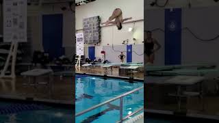 2021 FHSAA Dive Championship District 1/Division 3A (won 1st with new PR of 518.15) 20211028 173856