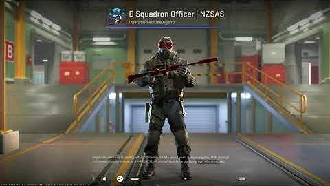 [CS2] All Agents Showcased