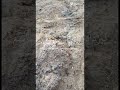 سبحان من خلق وصور سبحان من خلق وصور