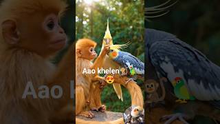 Chalo khelen🥰#shorts #cute #monkey #birds #cockatiel #vibrantbirds