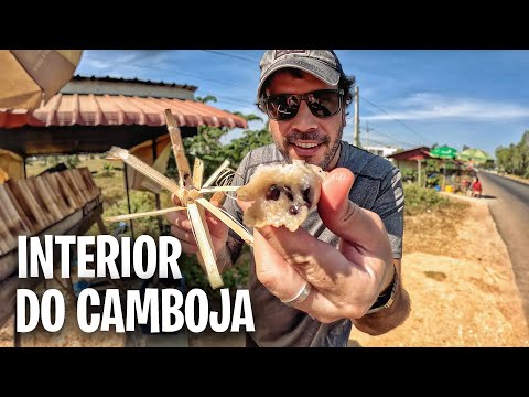 Vídeo: Comidas para experimentar no Camboja