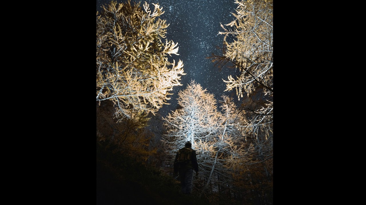 Bruit de la Faune nocturne en Floride - Calme - Zen