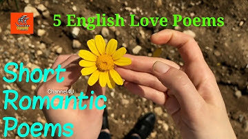 5 English Love poems For a beautiful and humble star, for you my love | Anaya Tube TV
