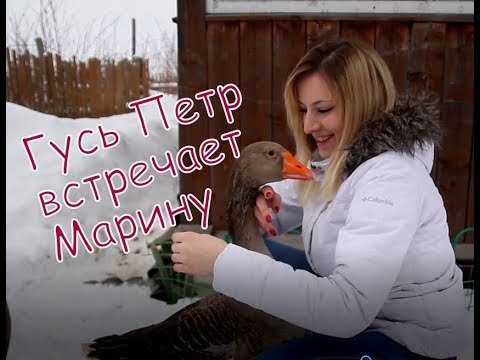 Марина Давыдочкина Mary Dylan