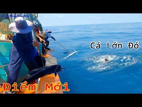 Video CÂU TAY 22║Điểm Câu Mới,Cá THU,Cá CỜ Khủng.AE Kéo Tay... - youtube