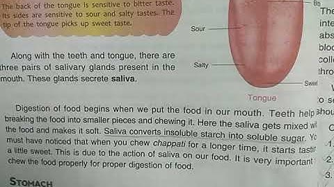 DAV Nahan Class-IV Science Revision (Lesson-1, Part-2)
