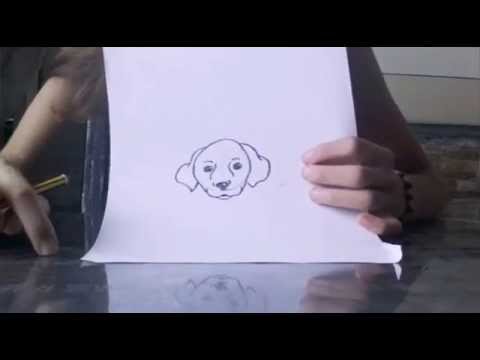 Tutorialcome Si Disegna Una Testa Di Un Cane Youtube