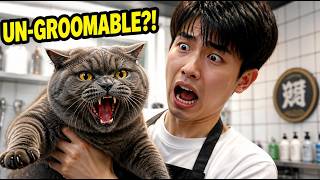 High-Risk Cat Grooming: The Thickest Gloves Couldn't Save Me!