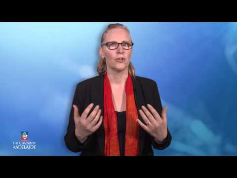 Introducing Withdrawal and Treatment