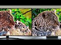 LG Nano76 vs Philips PUS8807 Smart TV