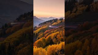 Fall colors in Utah #fall #autumn #colorful #utah #golden #city #mountain #forest #travel #roadtrip