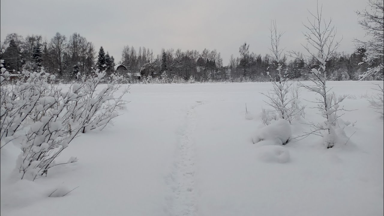 Первый выезд на дачу в 2026 году | Часть 2(2)