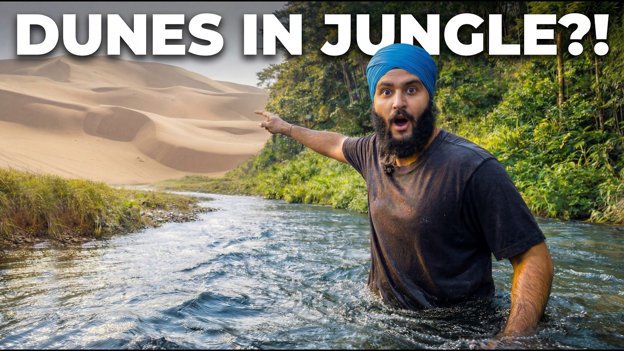 I Found THIS in an Auckland Jungle…😳