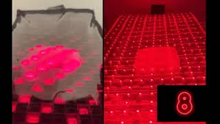 Melt Fat with Dahlia Red Light Therapy at Apex Chiropractic